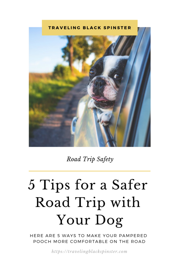 road trip with your dog featured image